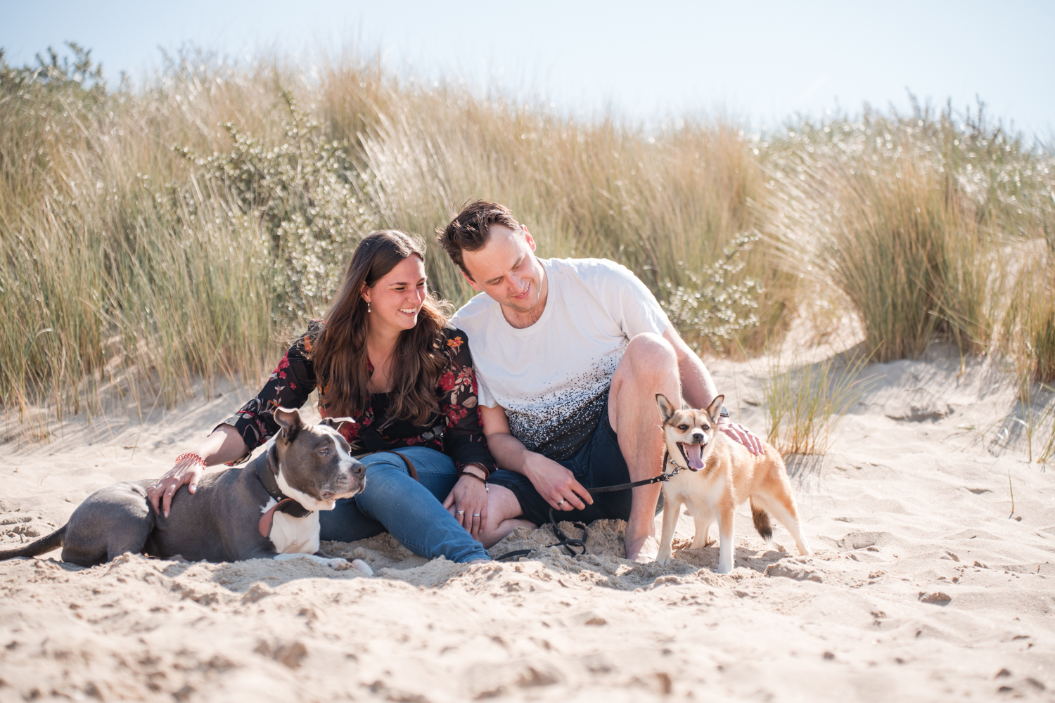 Stel zit met hun honden op het strand in de duinen
